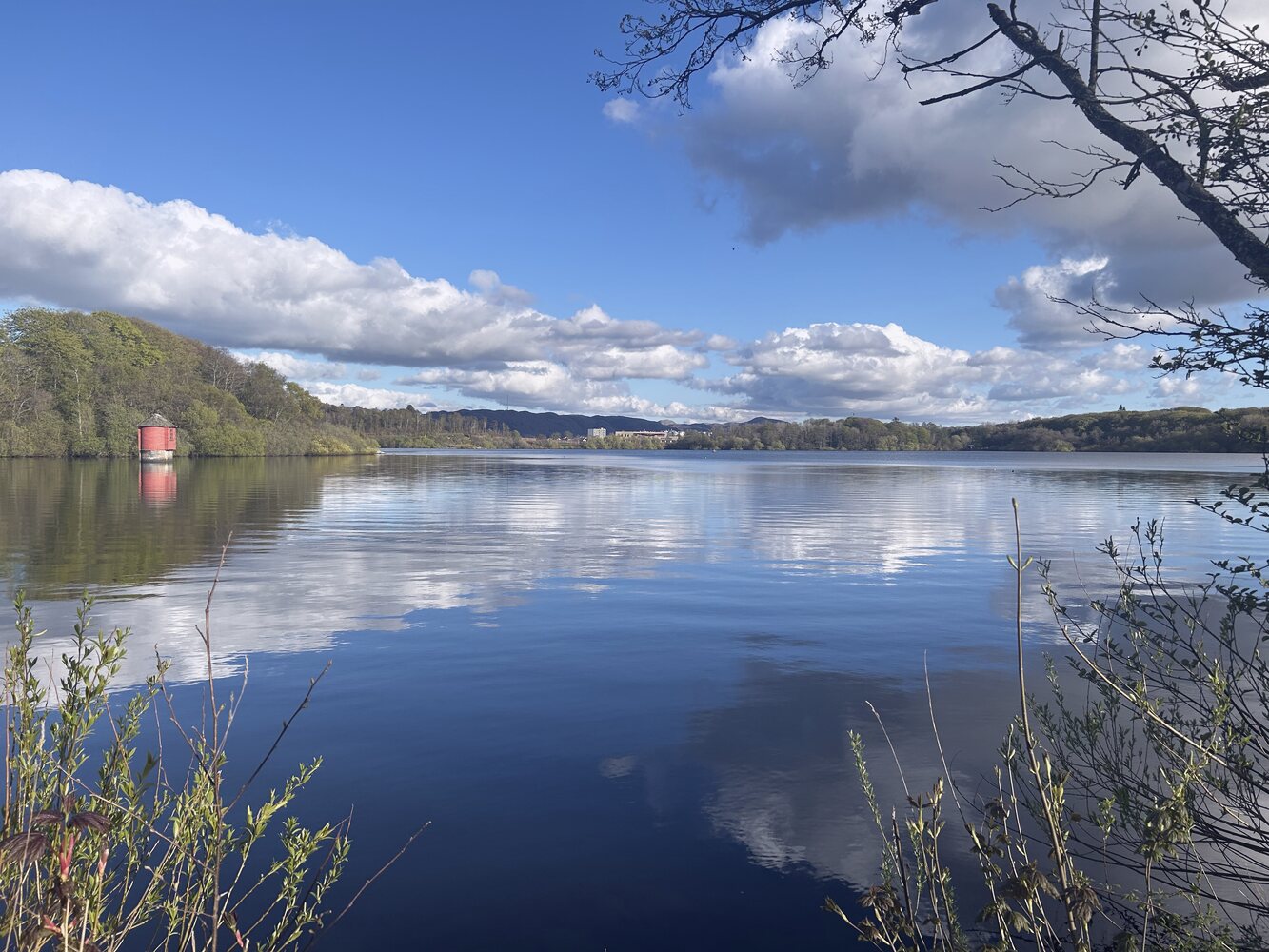 A still lake in Norway