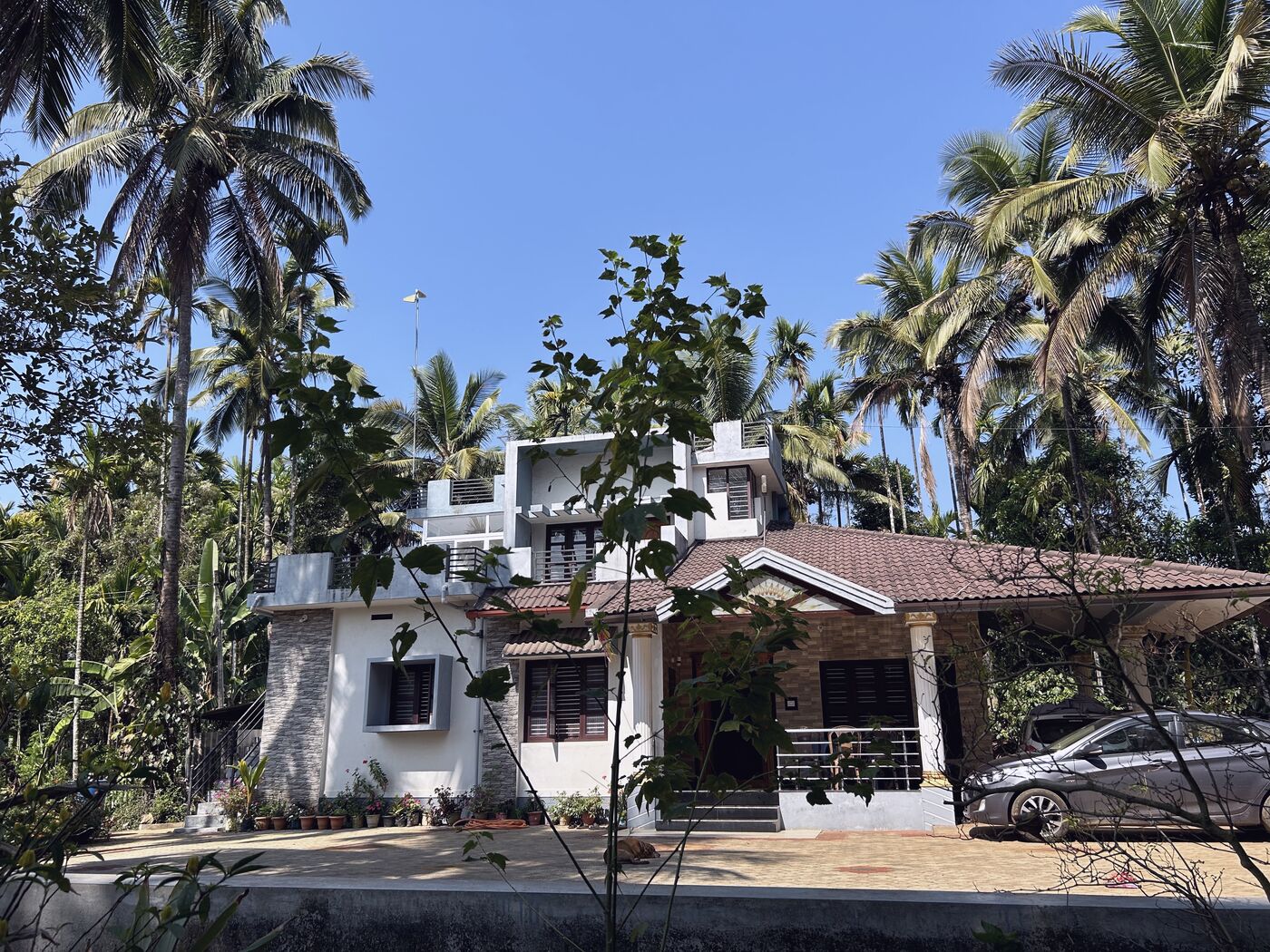 Prasad's family home in rural Karnataka, surrounded by the farm's coconut and areca palms